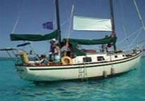 Comittee boat Trebrinda during the Laguna Regatta