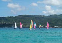 Cats underway at the Laguna Regatta