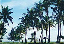 Saipan - Home of the Over The Reef Yacht Club
